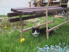 Unsere Sally in Lauerstellung